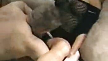 Puma curvilínea ficou pornodoido com professor com tesão e fodeu o enteado